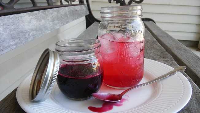 Berry Saft